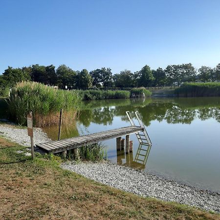 Weissenbacherhof Oslip المظهر الخارجي الصورة