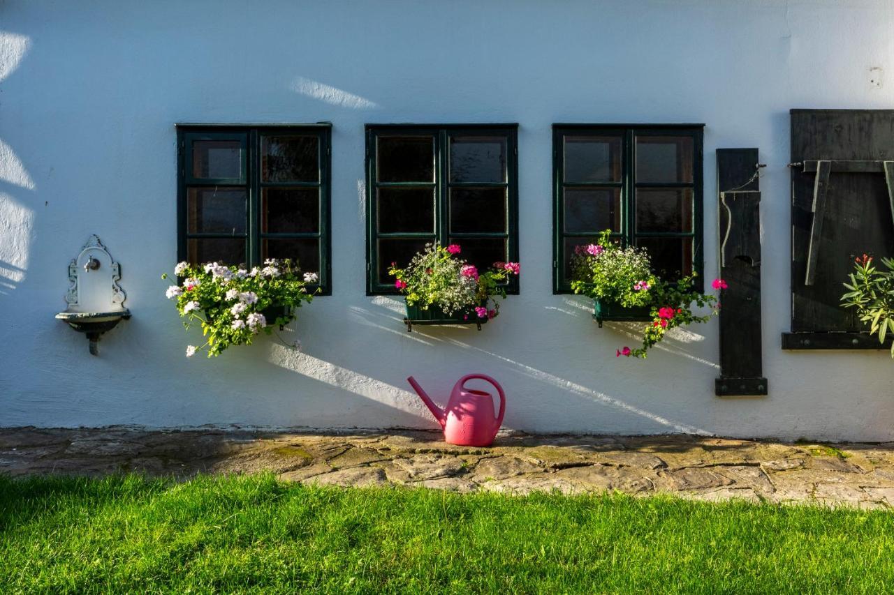 Weissenbacherhof Oslip المظهر الخارجي الصورة