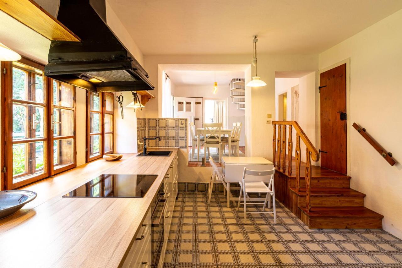 Weissenbacherhof Oslip المظهر الخارجي الصورة