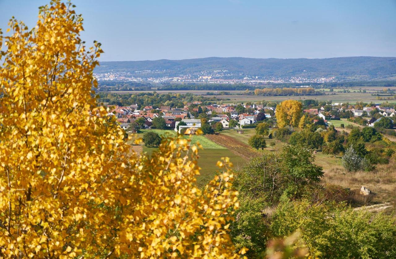 Weissenbacherhof Oslip المظهر الخارجي الصورة